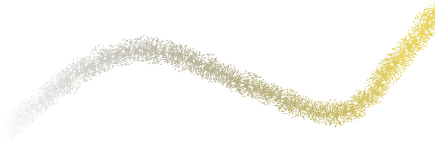 Captures Studio - 3D Gaussian Splat Editing Preview